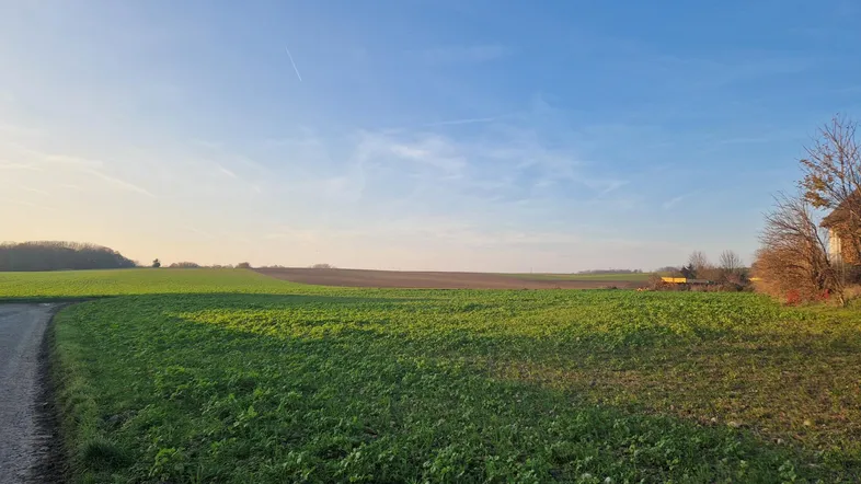 Ländliche Umgebung mit weiten Feldern und einem Feldweg unter blauem Himmel.