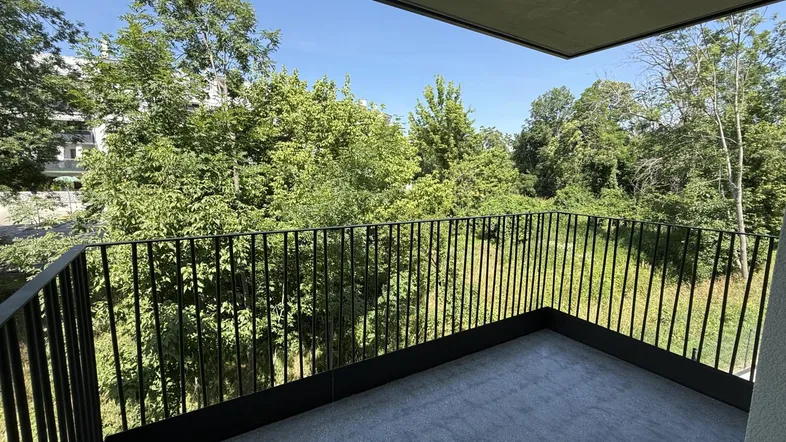 Moderner Balkon mit schwarzem Geländer und weitem Blick ins Grüne unter blauem Himmel.