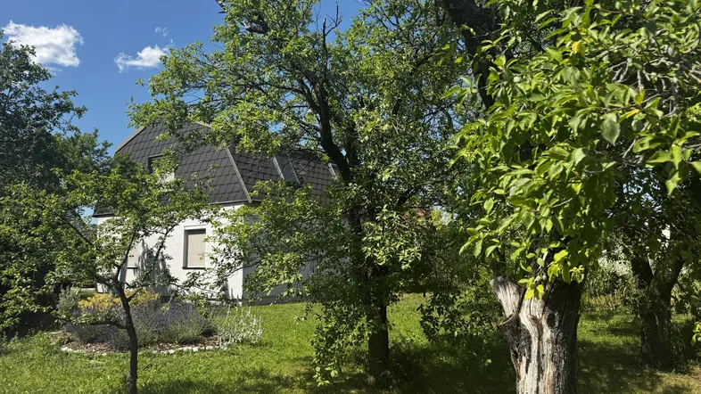 Gartenparadies