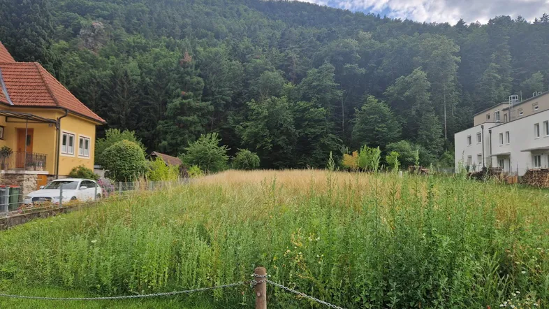 Großes Grundstück mit Wiese und Blick auf bewaldete Hügel, umgeben von Wohngebäuden.