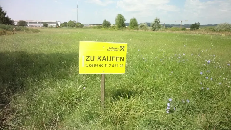 Ein gelbes 'ZU KAUFEN'-Schild steht auf einem grünen Feld unter blauem Himmel.