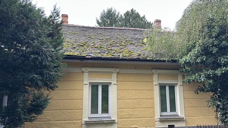 Fassade eines älteren Hauses mit gelbem Putz und moosbewachsenem Dach unter bewölktem Himmel.