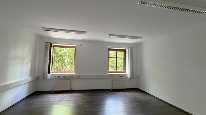 Heller, leerer Raum mit dunklem Laminatboden, weißen Wänden und zwei Fenstern mit Blick ins Grüne.