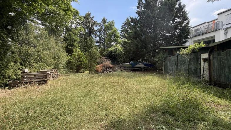 Überwachsener Gartenbereich mit Bäumen und einem Schuppen im Hintergrund, angrenzend an ein modernes Gebäude.
