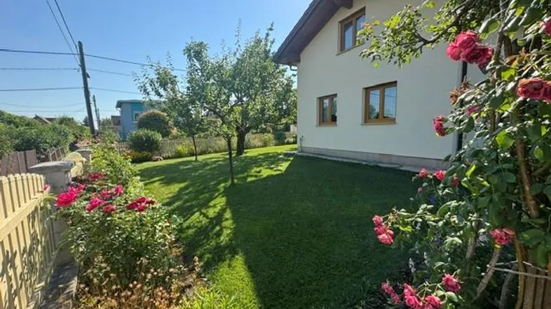Sonniger Garten mit gepflegtem Rasen, blühenden Rosen und einem Einfamilienhaus im Hintergrund.