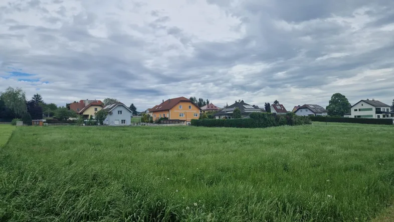 Weitläufiges grünes Feld mit Wohnhäusern im Hintergrund unter bewölktem Himmel.