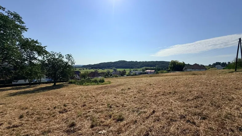 Sonniges Feld mit weitem Blick über die Landschaft und entfernten Häusern unter blauem Himmel.