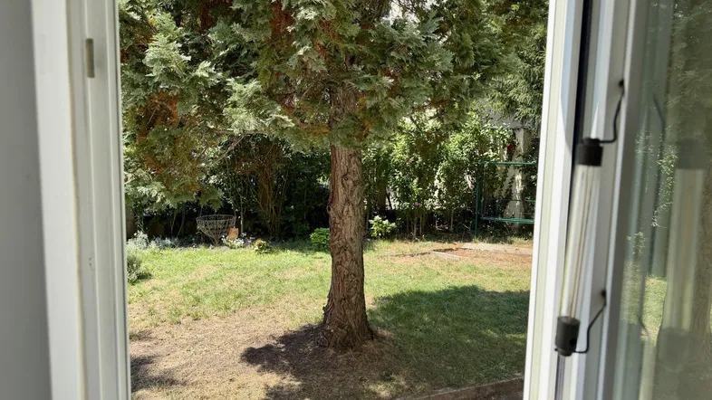Blick aus einem Fenster auf einen grünen Garten mit Bäumen und Rasenfläche.