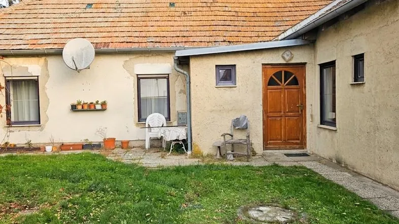 Gartenansicht ( aufgeräumt und heller mit KI Unterstützung)