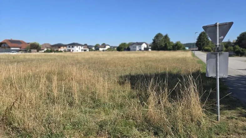 Weitläufiges, trockenes Feld mit vereinzelten Häusern im Hintergrund unter klarem blauem Himmel.