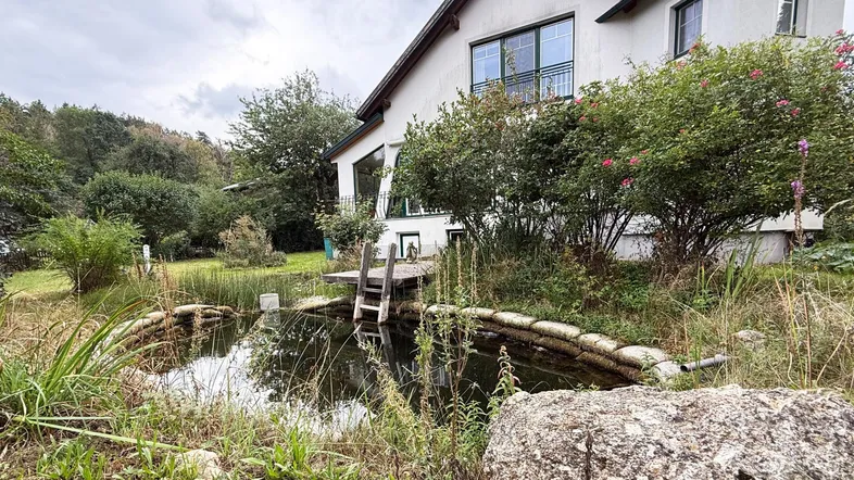 Das Haus ist von einem naturnahen Garten mit einem kleinen Teich und üppiger Vegetation umgeben.