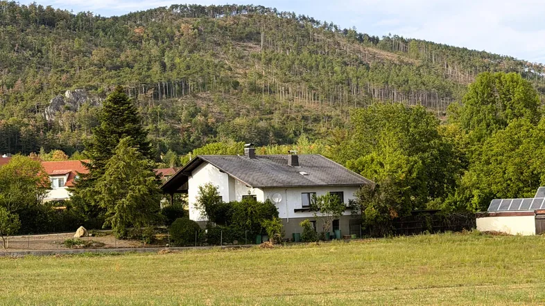 Gesamtansicht, Grünlage