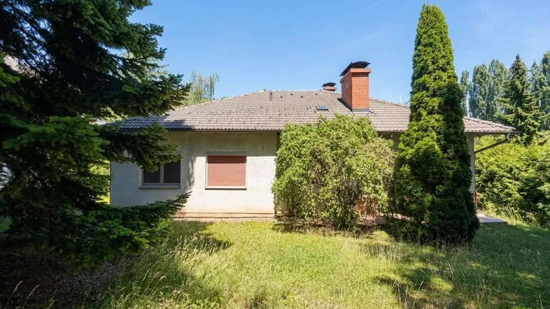 Seitenansicht des Hauses mit gepflegtem Gartenbereich und hohen Nadelbäumen unter blauem Himmel.