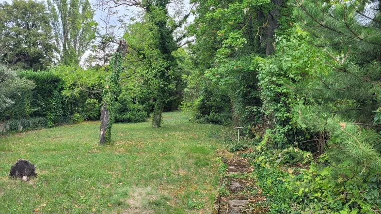 Naturbelassener Gartenbereich mit Bäumen und Grünflächen, ideal für Erholung und Naturverbundenheit.