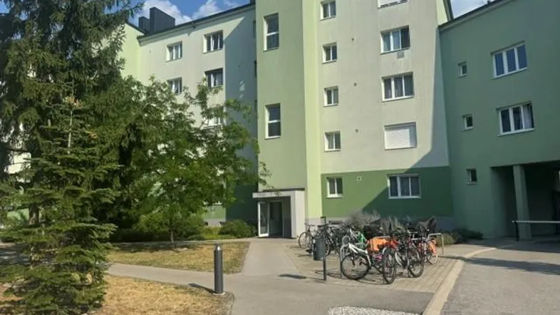 Mehrstöckiges Wohngebäude mit grüner Fassade, umgeben von Bäumen und einem Fahrradabstellplatz.