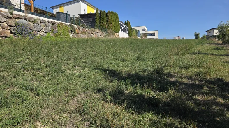 Grünes Grundstück mit modernen Häusern im Hintergrund und einer Steinmauer am Hang.