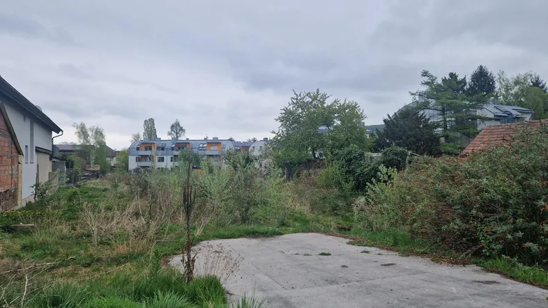 Überwachsenes Grundstück mit Blick auf umliegende Gebäude und bewölkten Himmel.