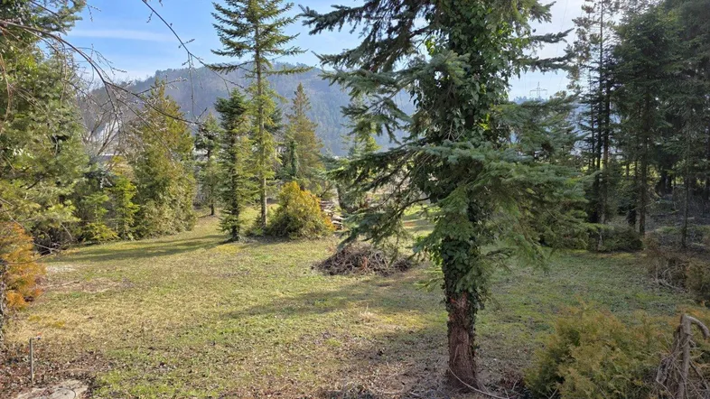 Weitläufige Grünfläche mit Nadelbäumen und Blick auf bewaldete Hügel unter blauem Himmel.