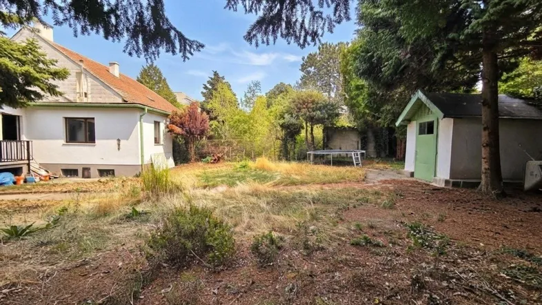Großer, naturbelassener Gartenbereich hinter dem Haus mit viel Grün, Bäumen und einem kleinen Schuppen.