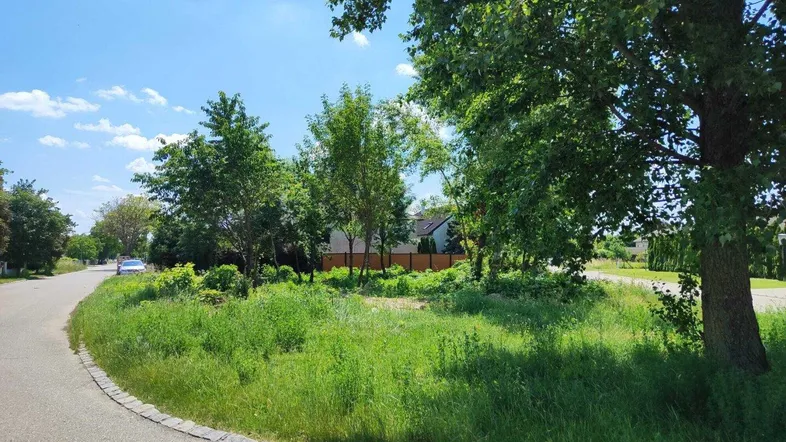 Unbebautes Grundstück mit Gras und Bäumen an einer ländlichen Straße unter blauem Himmel.