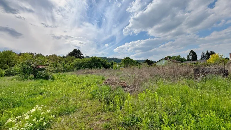 Weitläufiges Grundstück mit üppiger Vegetation und Blick auf die umliegende Natur unter bewölktem Himmel.