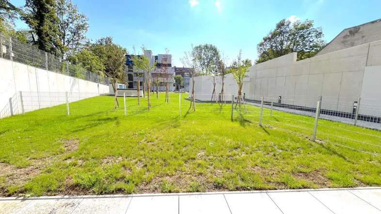 Grüner Gartenbereich mit jungen Bäumen und Rasenfläche in einer Wohnanlage.