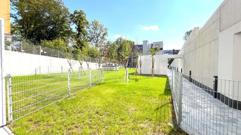 Ein sonniger Tag über einem grünen Rasen mit jungen Bäumen und einem modernen Gebäude im Hintergrund.