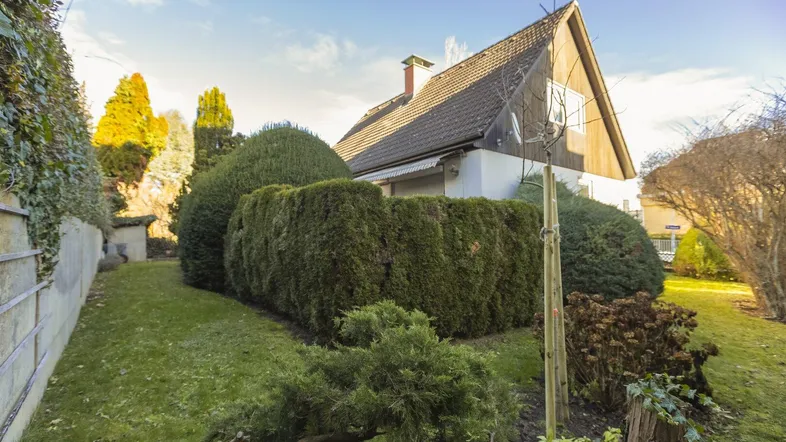 Gepflegter Gartenbereich mit hohen Hecken und einem traditionellen Einfamilienhaus unter blauem Himmel.