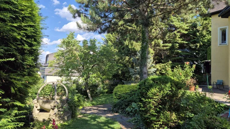Üppiger Gartenbereich mit altem Baumbestand, einem dekorativen Brunnen und einem gewundenen Pfad.