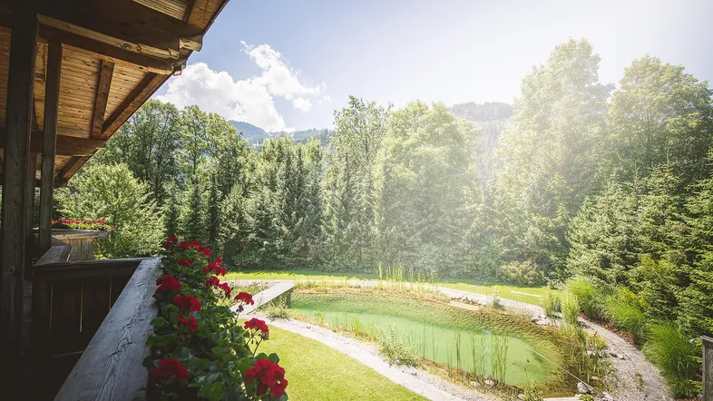 Blick von einem holzvertäfelten Balkon mit roten Blumen auf einen Naturteich und dichte Wälder.