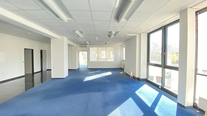 Großes, helles Büro mit blauer Teppichboden und vielen Fenstern, ideal für Arbeitsbereiche.