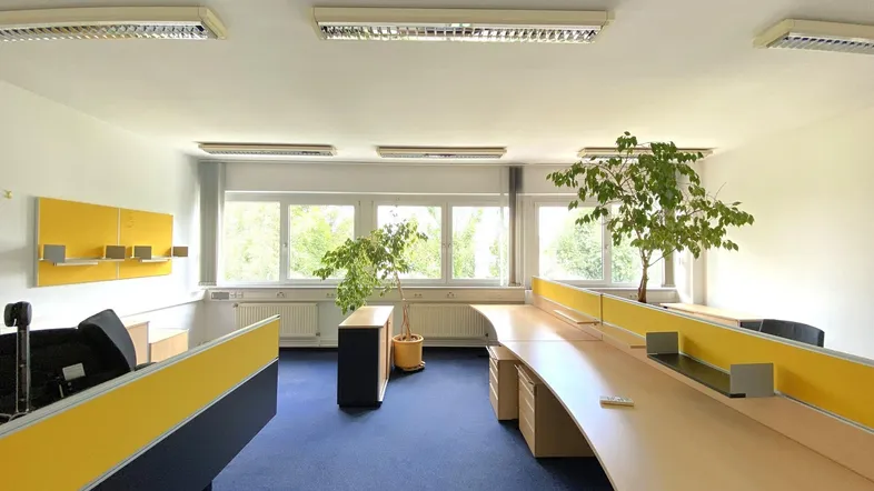 Geräumiges Büro mit mehreren Arbeitsplätzen, blauer Teppichboden und großen Fenstern mit Blick ins Grüne.