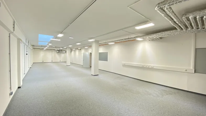 Geräumiger, leerer Gewerberaum mit Teppichboden, weißen Wänden, sichtbaren Lüftungsrohren und Oberlichtern.