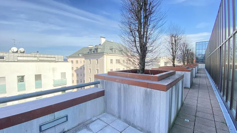 Geräumige Dachterrasse mit Steinplattenboden und dekorativen Bäumen in Pflanzkübeln unter blauem Himmel.