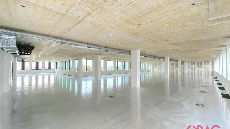 Großer, offener Büroraum mit hohen Decken, Sichtbeton und vielen Fenstern, die viel Tageslicht hereinlassen.