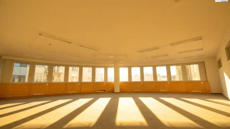 Großer, heller Raum mit vielen Fenstern und Teppichboden, ideal für Büronutzung und viel Tageslicht.