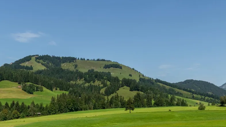 Weitläufige grüne Wiesen und bewaldete Berge unter klarem blauem Himmel, ideal für Naturliebhaber.