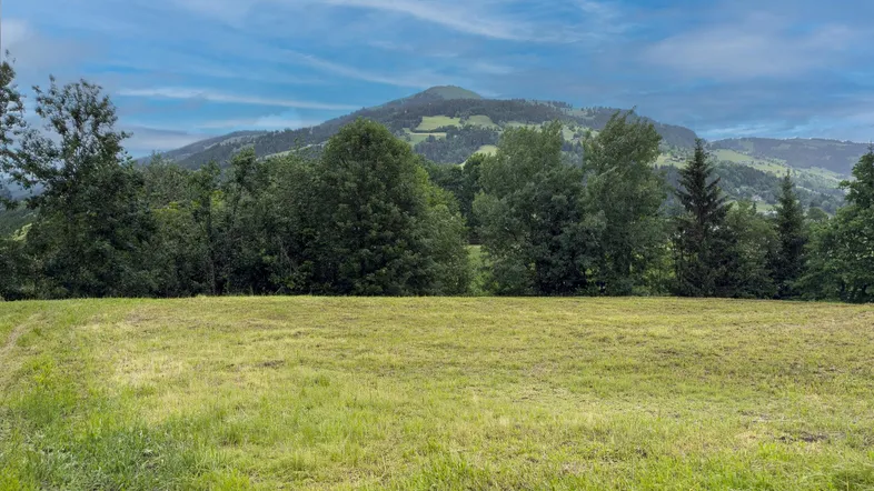 Weitläufige grüne Wiese mit Bäumen und einem majestätischen Berg im Hintergrund unter blauem Himmel.