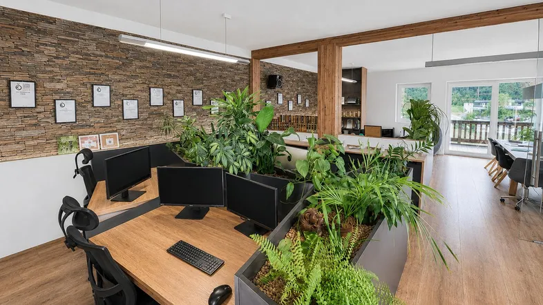 Modernes Großraumbüro mit Holzböden, Steinwand und vielen Pflanzen für eine angenehme Arbeitsatmosphäre.