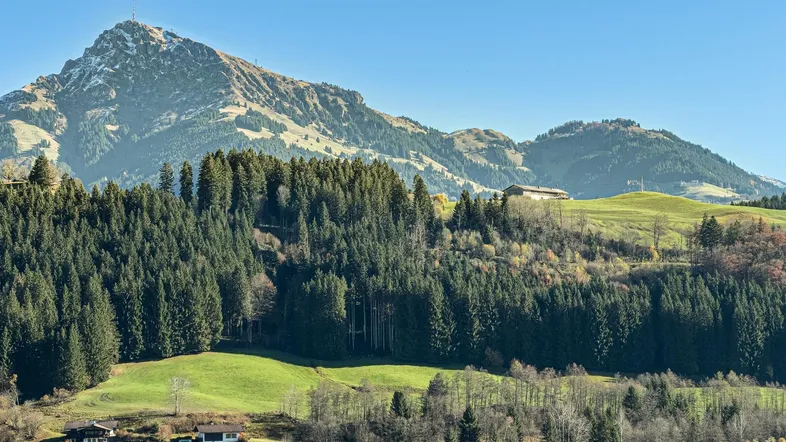 Weitläufige Landschaft mit grünen Hügeln, dichten Wäldern und majestätischen Bergen im Hintergrund.