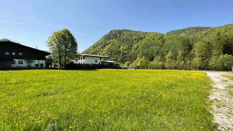 Weitläufige grüne Wiese mit gelben Blumen und Blick auf die umliegende Berglandschaft.