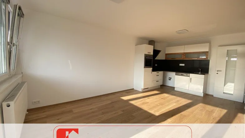 Heller offener Wohnbereich mit integrierter Küche, Parkettboden und viel Tageslicht durch große Fenster.