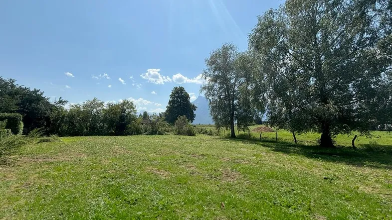 Weitläufige grüne Wiese mit Bäumen und Blick auf die umliegende Berglandschaft unter blauem Himmel.