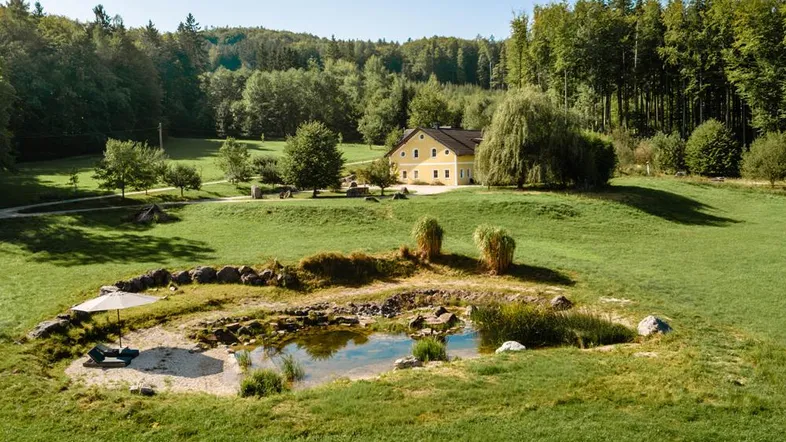 Idyllisches Anwesen mit Teich und weitläufigen Grünflächen, umgeben von Wald.