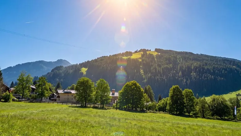 Sonnige Landschaft mit grünen Wiesen, Bäumen und Häusern vor einer beeindruckenden Bergkulisse.