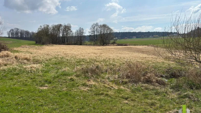 Weitläufige Grünfläche mit Feldern und Bäumen unter einem bewölkten Himmel, ideal für Naturliebhaber.