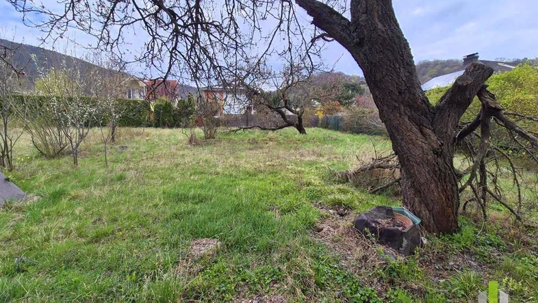 Naturbelassenes Gartengrundstück mit altem Baumbestand und viel Grünfläche unter bewölktem Himmel.