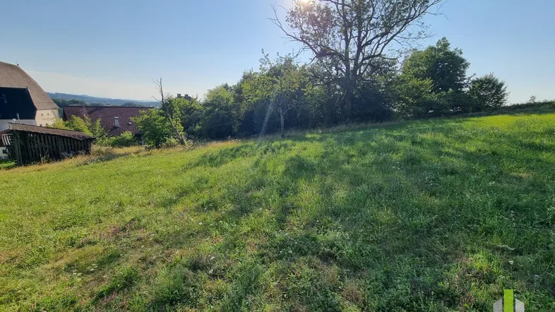 Sonniges Grundstück mit grüner Wiese und Bäumen, ideal für einen Garten oder zur Bebauung.