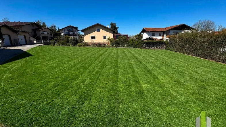 Große, gepflegte Rasenfläche mit Streifenmuster und umliegenden Wohnhäusern unter blauem Himmel.