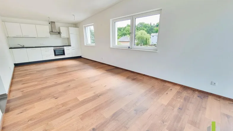 Helles, offenes Wohnzimmer mit integrierter Küche, Holzboden und Blick ins Grüne.